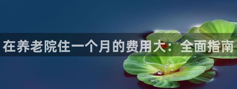 韦德游戏注册需要什么