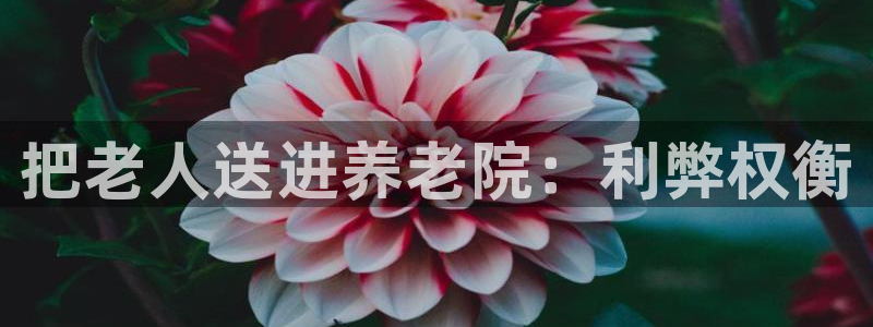 韦德游戏注册有风险吗