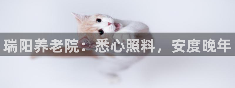 韦德游戏是什么