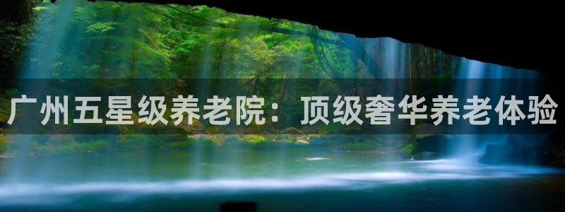 韦德网站是多少