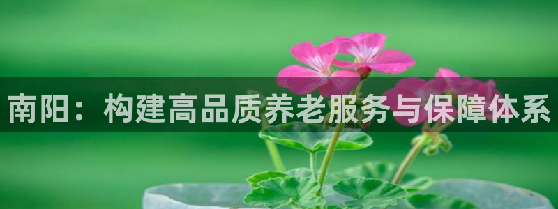 韦德官网注册推荐网站是什么