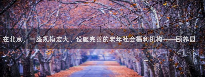 韦德1946客户端