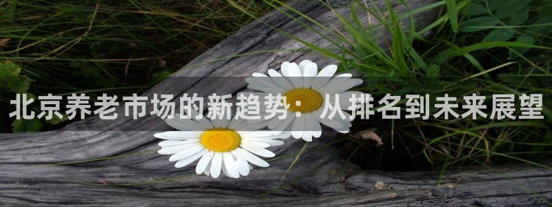 1946韦德官方网站