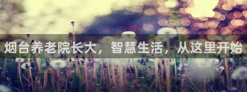 韦德1946官方