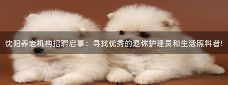 韦德网站是多少