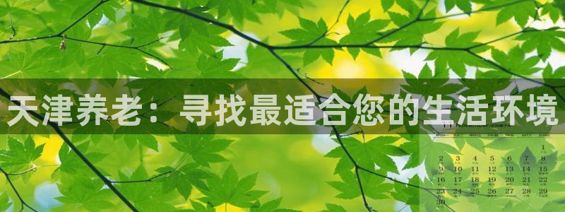 韦德合集
