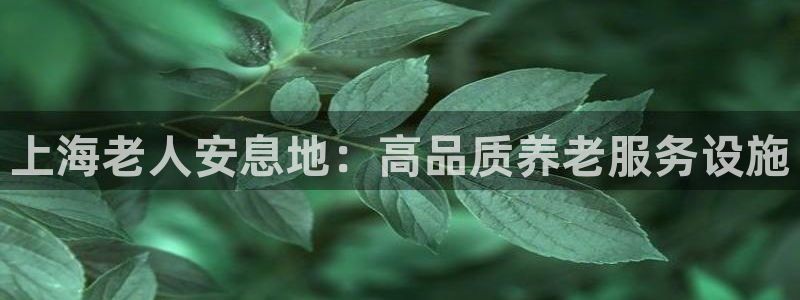 韦德1946博客