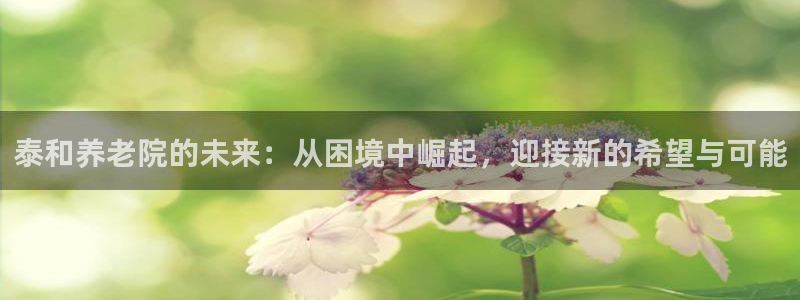 韦德1946游戏