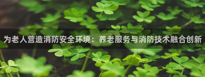 韦德1946游戏