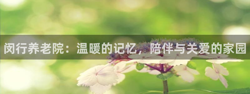 韦德1946最新网站