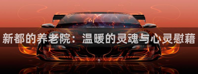 韦德 网址