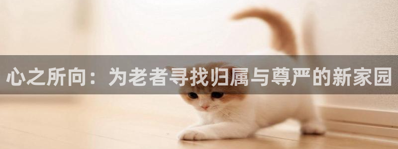 韦德游戏网址