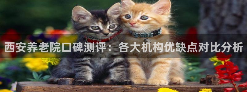 韦德注册手机版下载