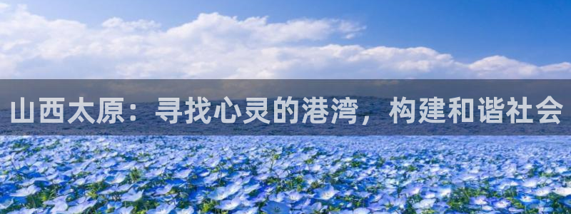 韦德游戏是什么