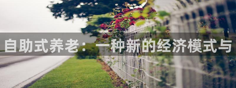 韦德1946手机网址