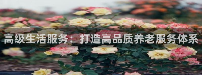 韦德官网注册推荐网站