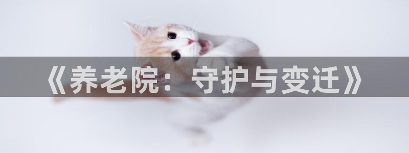 韦德1946始于英国