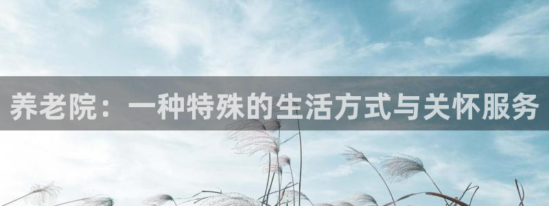韦德是哪一届