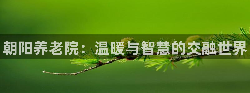 韦德注册手机版下载