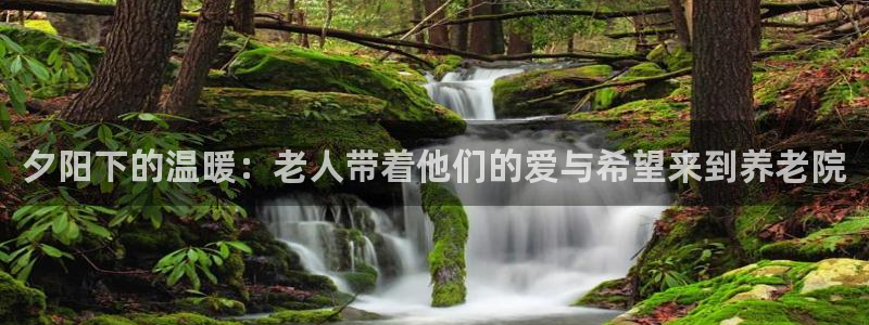 韦德1946博客