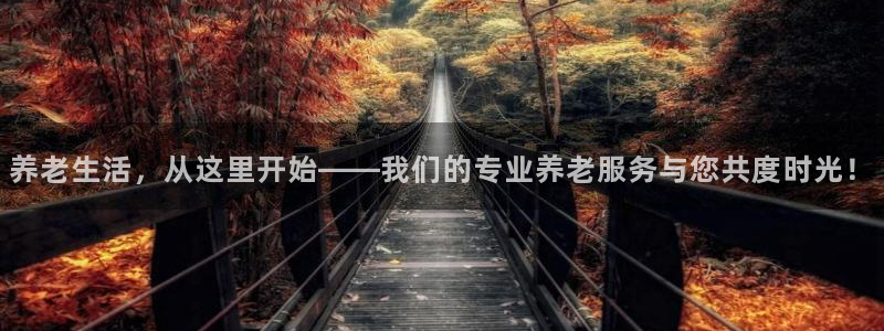 韦德新品