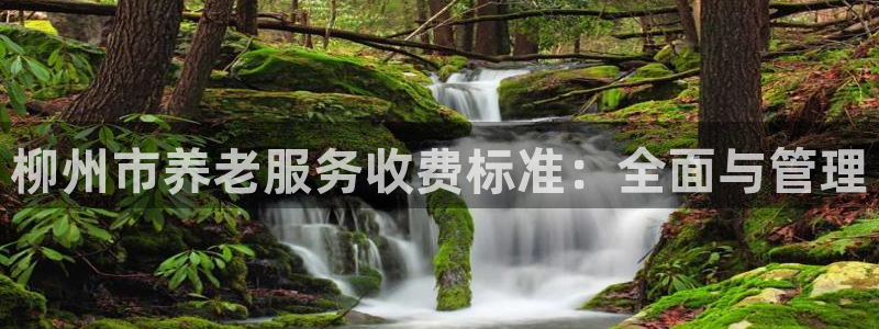 韦德游戏注册需要什么