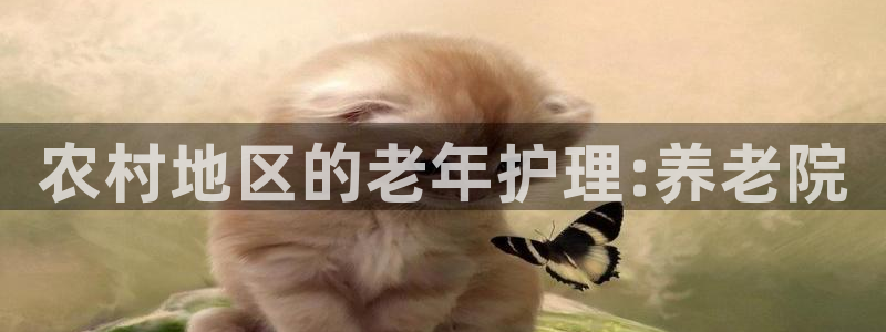 韦德观战总决赛G3