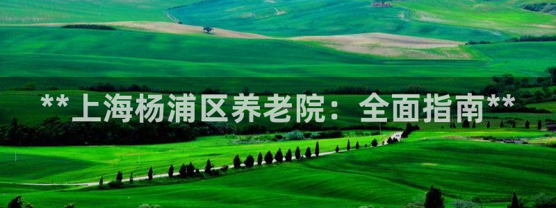 韦德网址是多少