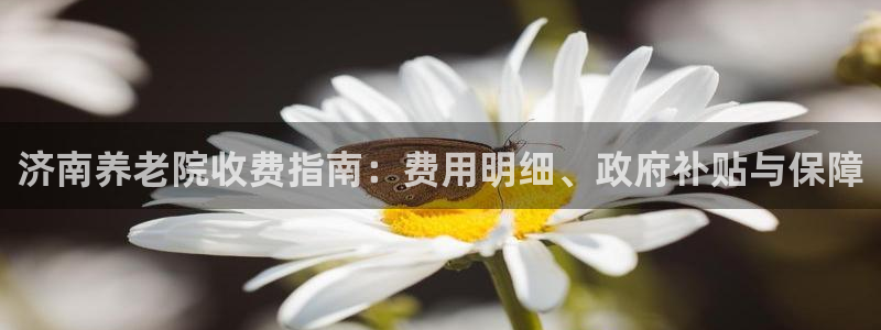 韦德游戏是什么
