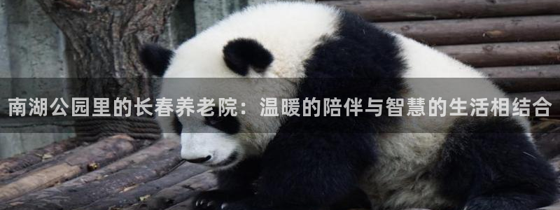 韦德1946娱乐手机版