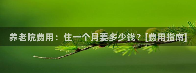 韦德1946中文官网